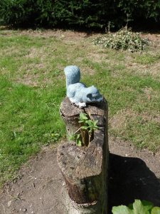 Part of the squirrel trail
