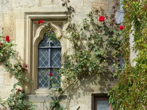 Attractive windows