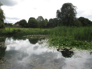 The abbey fishpond