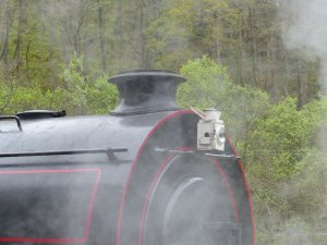 Nearby is Gwilli Steam Railway
