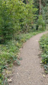 Nature walk at the cemetery