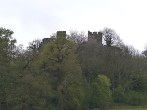 Castle views