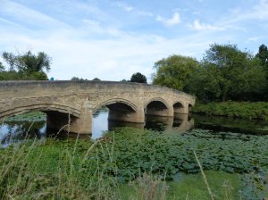 Picturesque bridge in the park