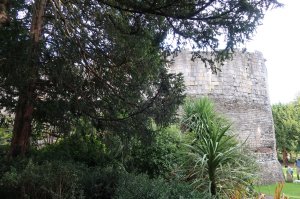 The tower in the Museum Gardens