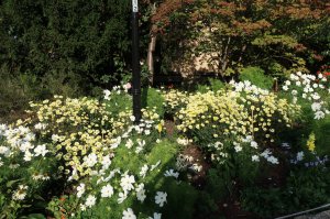 Lovely gardens surrounding the abbey