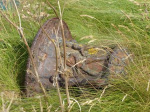 A discarded decorative urn - a reminder of better days!