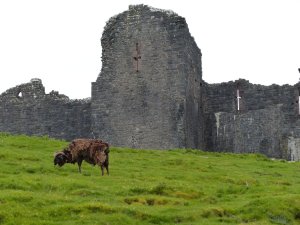 The outer bailey
