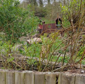 There is a small play area at the wildlife park