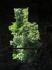 Window 2