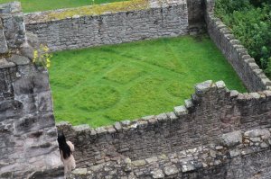 View from the battlements