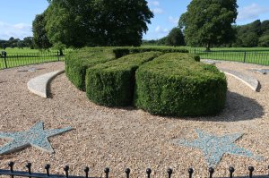 Harp-shaped topiary in the garden