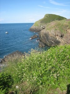 Watermouth Bay