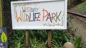 The Westbury Wildlife Park is not far away!