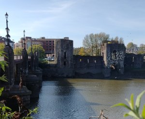  The castle captured just as a flock of seagulls fly by! 