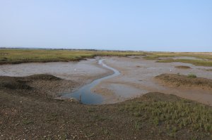 Views of Pagham Nature Reserve