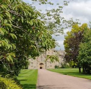 The George IV gate, taken from Windsor Great Park