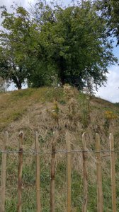 Mound 3