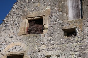 The remains of a fireplace- all that remains to mark the upper floors(with a large bird's nest inside)