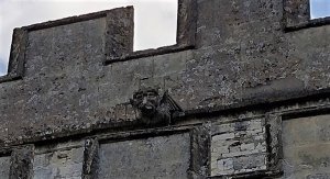 Gargoyle on the keep