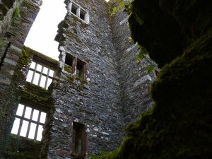 Some of the many windows