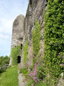 The site of Queen Eleanor's garden