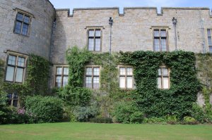 More windows