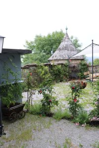 The garden