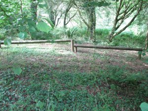Play/exercise equipment in the woodland