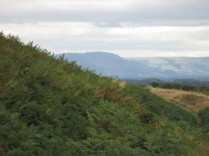 Path around the ramparts
