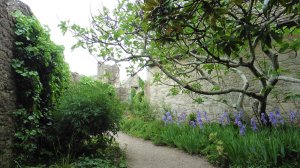 Chapel garden 2