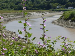 View of the River Usk which is adjacent to the castle tower