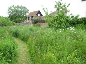 Coleridge Cottage back garden