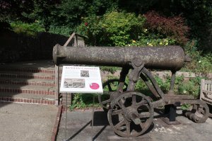 Cannon in the bailey