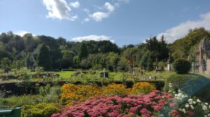 Glorious gardens at Arnos Vale 