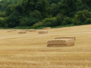 Set in the middle of beautiful countryside