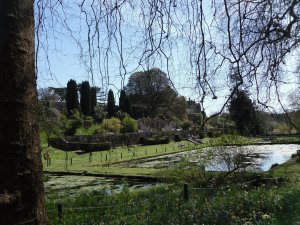 The gardens