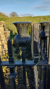 Scottish thistle on the railings