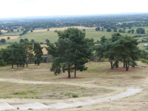 The site has steep paths!