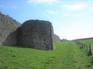 Part of the Roman wall and tower
