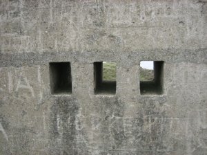 Gun openings