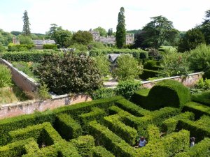 View from the maze tower