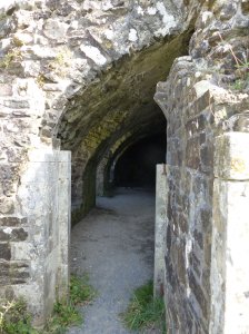 View into the cellar