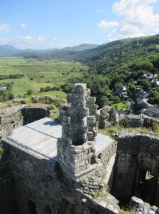 View from the tower