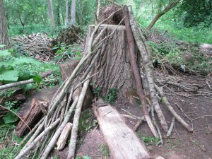 Den building area