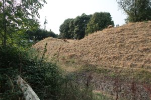 Just a grassy motte left to see these days!