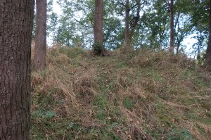 The overgrown motte of Baille Hill Castle