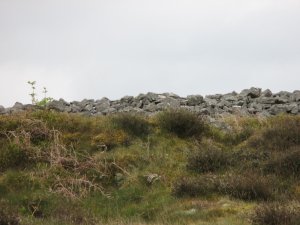 More stony ramparts