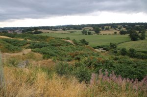 Ramparts view 2