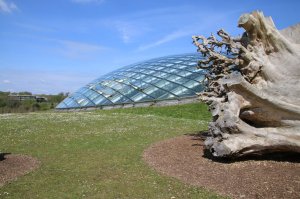 The glass dome at the botanic gardens
