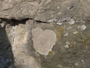 Heart shape on the castle wall 